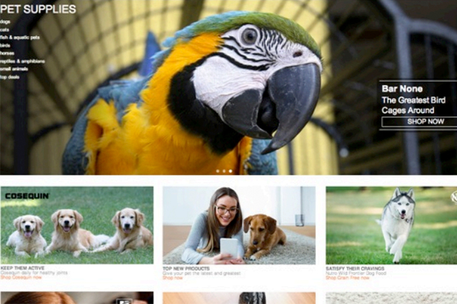 Global Pet E-Commerce:  A Dynamic Channel In a Growing Market