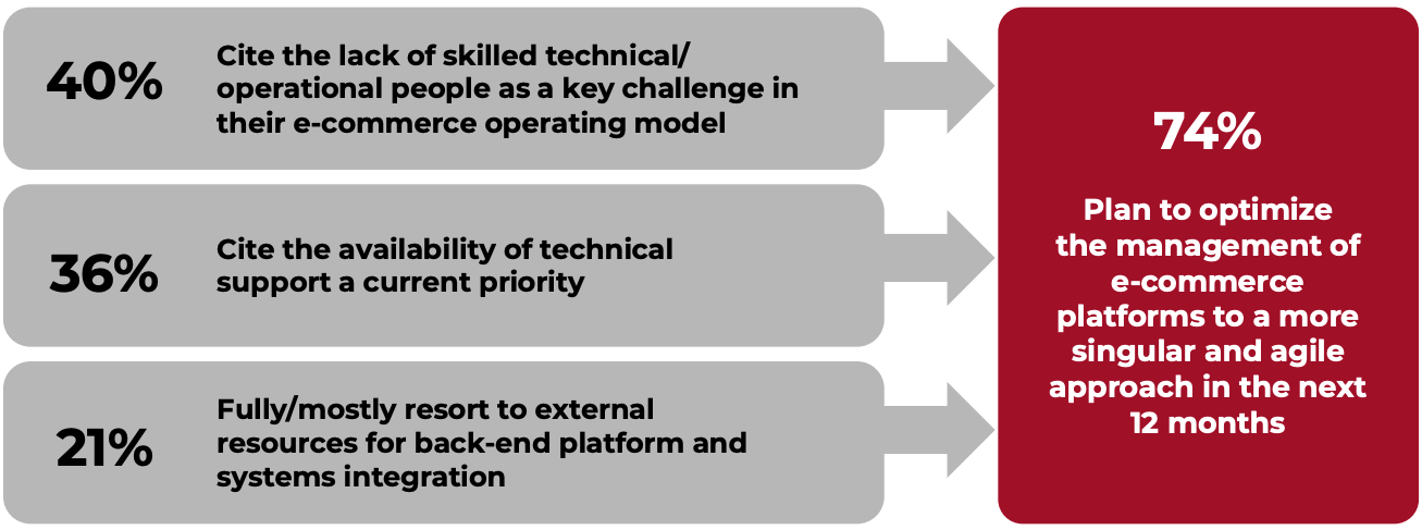 Figure 4. US Mid-Size Retailers on Technology Stack Challenges