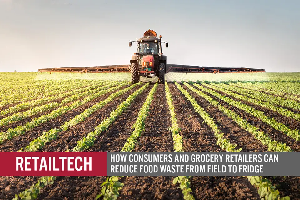 RetailTech: How Consumers and Grocery Retailers Can Reduce Food Waste from Field to Fridge