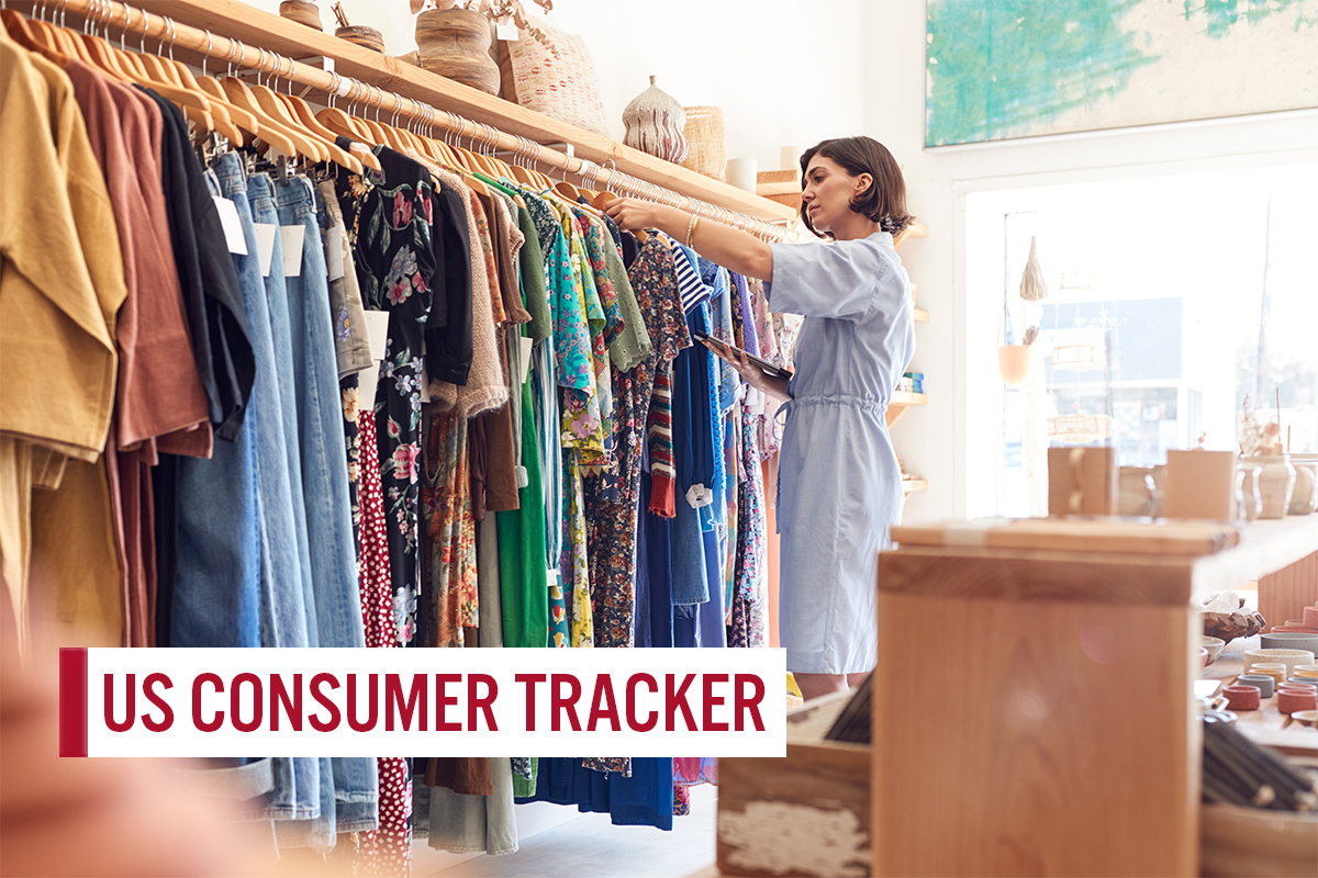 Amazon Shines Ahead of Prime Day— US Consumer Survey Report | Coresight ...