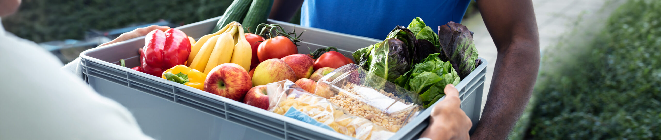 The US Online Grocery Surge: What’s Driving It, Who’s Shopping and Why the Momentum Is Here To Stay