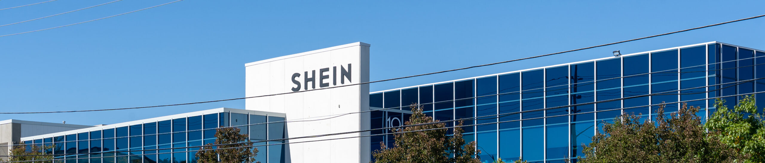 Why Is Shein Acquiring Everlane?